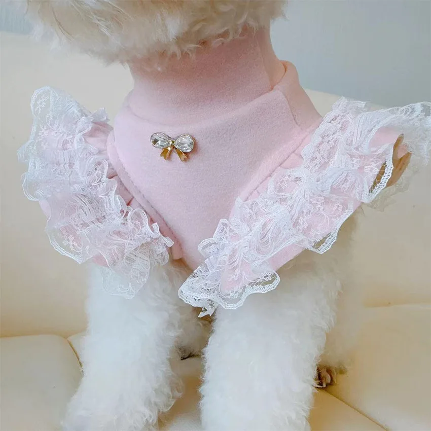 Lace Teddy Lingerie - Abbigliamento per animali domestici Camicia base