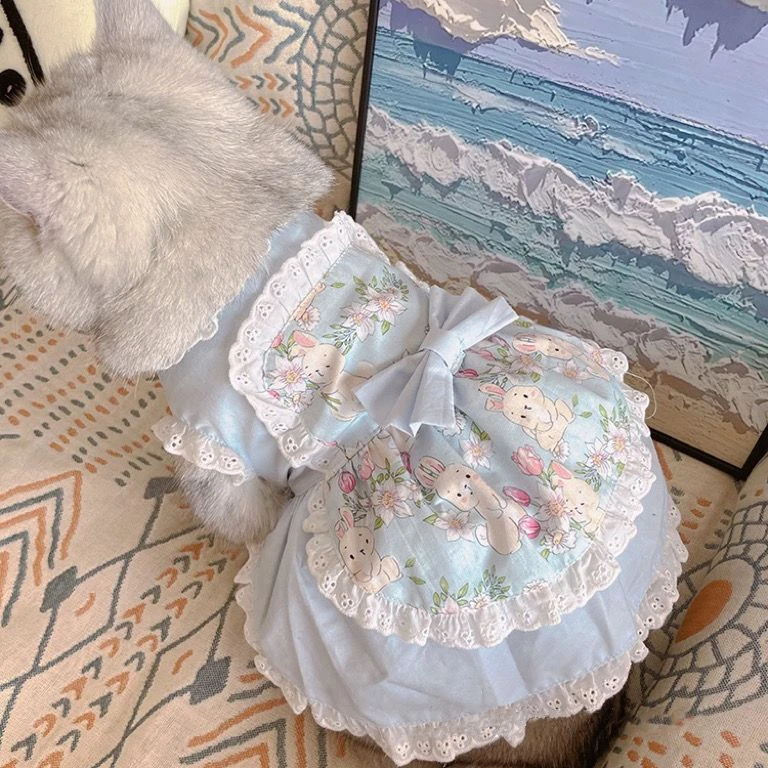 Lace Teddy Lingerie - Pet Cute grembiule Dress Lace Floral