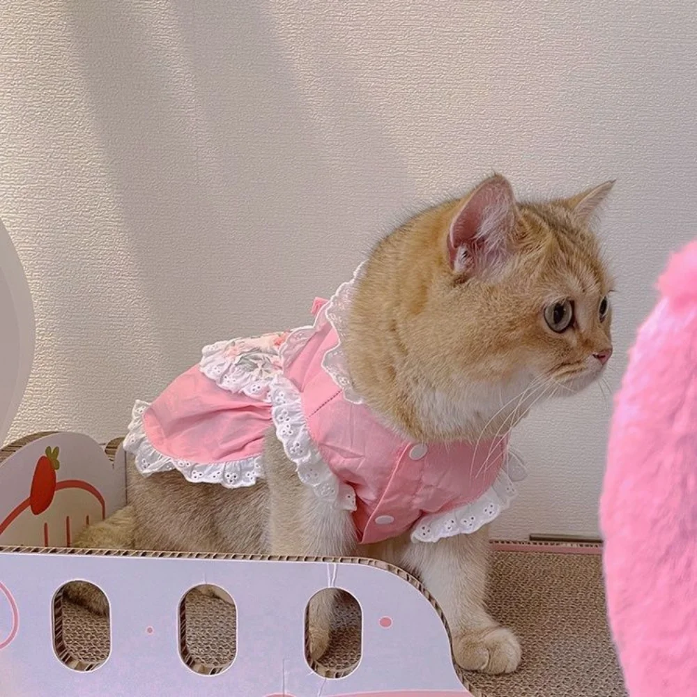 Pet Cute grembiule Dress Lace  - Lace Teddy Lingerie recensione e prezzo