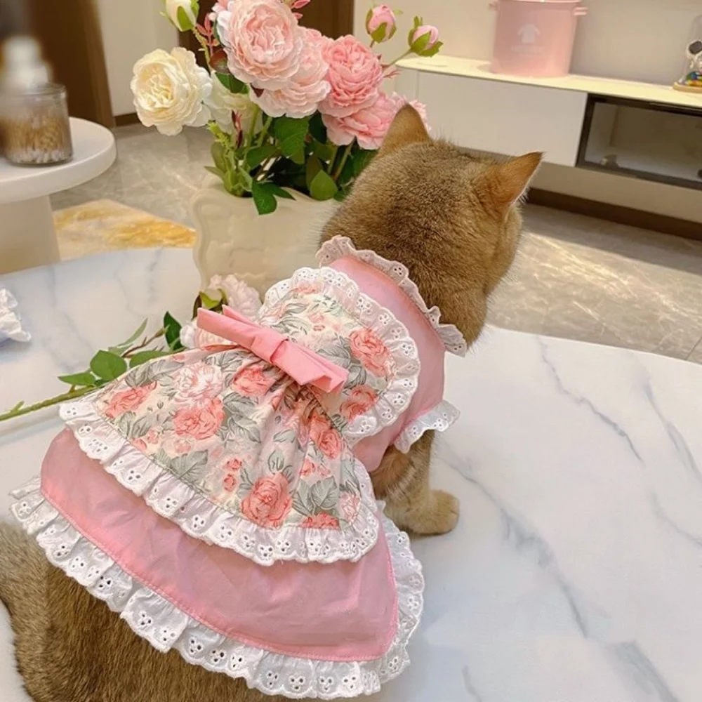 Pet Cute grembiule Dress Lace  - Lace Teddy Lingerie recensione e prezzo